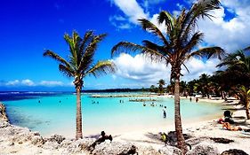 Le CoCo Bleu - SAINTE-ANNE: Centre-Ville, coté plage